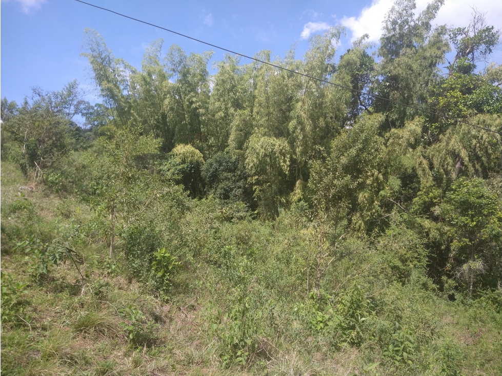 LOTE MEDIO DAPA — foto 6