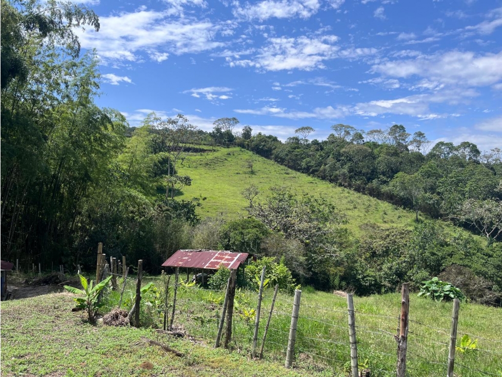 LOTE EN LA VORAGINE