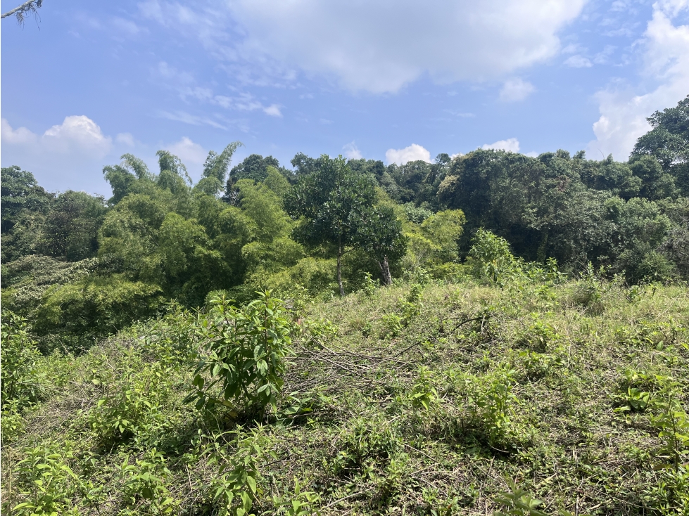 LOTE MEDIO DAPA — foto 2