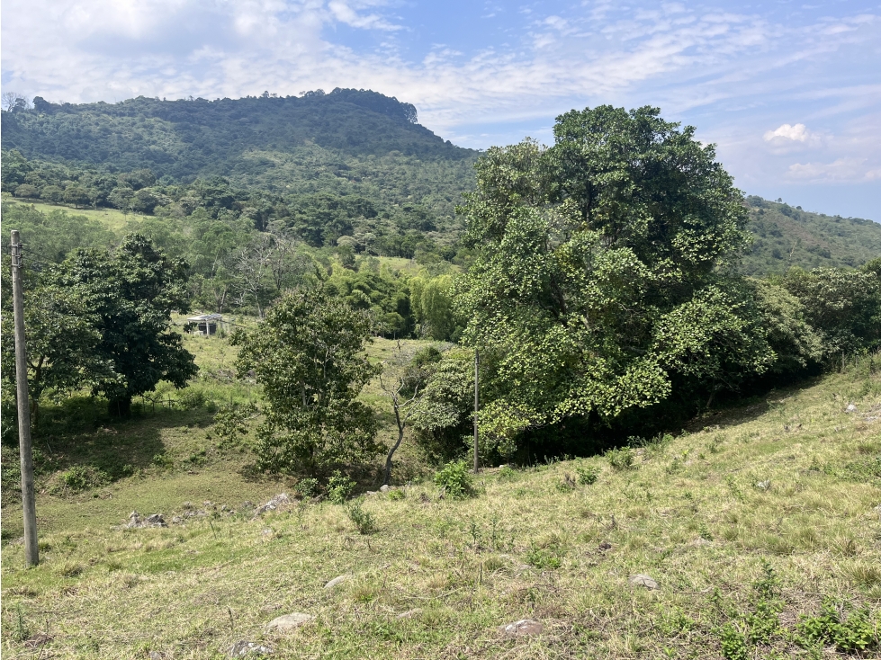 LOTE MEDIO DAPA — foto 3