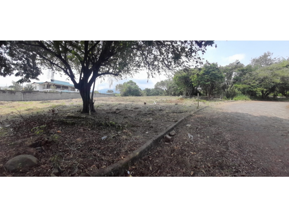 LOTE EN CONDOMINIO EN PANCE