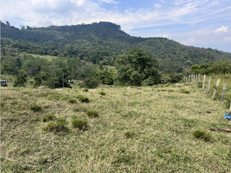 LOTE MEDIO DAPA — foto 4