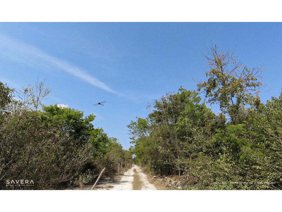 SE VENDE LOTE DE TERRENO EN MEXICO VE02-044MEX-MT - 3