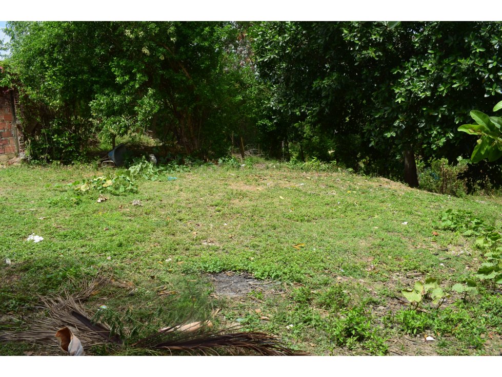 LOTE PARA LA VENTA EN RICAURTE CUNDINAMARCA. - 4
