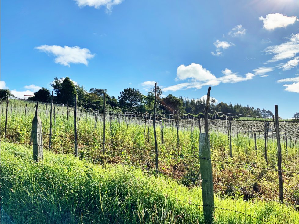 LOTE PARA LA VENTA EN CUATRO ESQUINAS FACATATIVA CUNDINAMARCA. - 2
