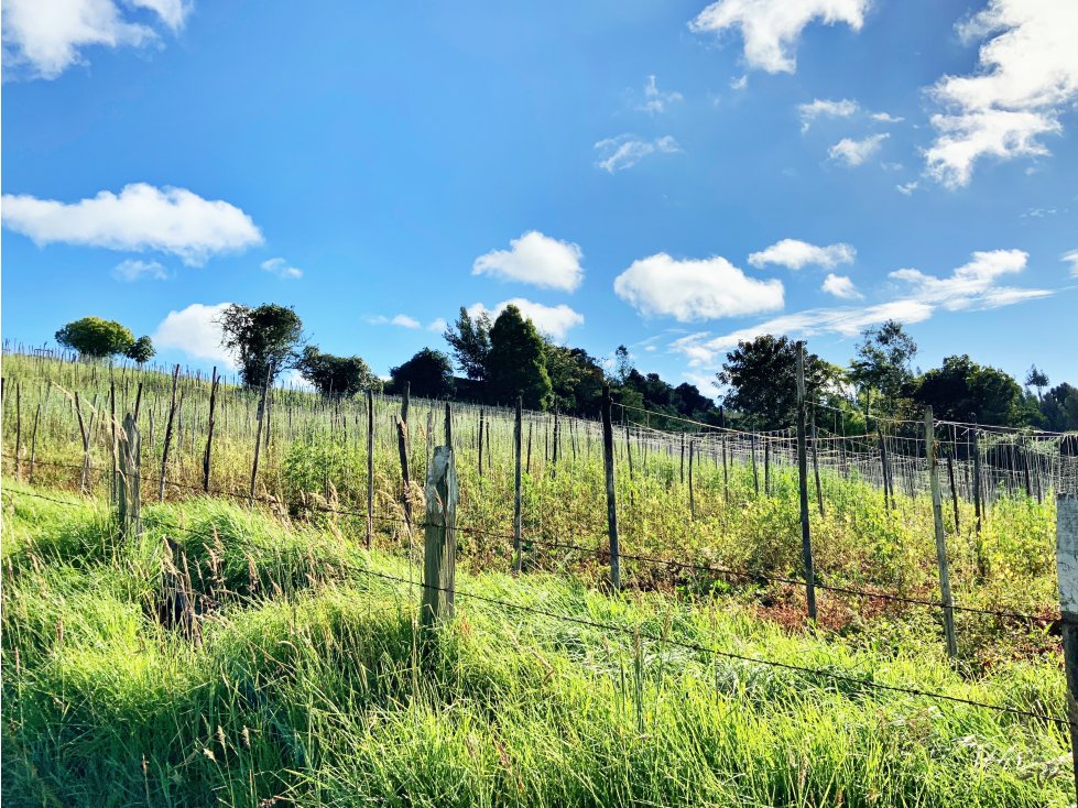 LOTE PARA LA VENTA EN CUATRO ESQUINAS FACATATIVA CUNDINAMARCA. - 3