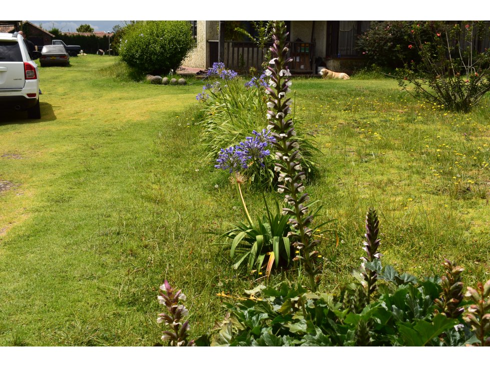 Lote para la venta en Chia, Cundinamarca — foto 4