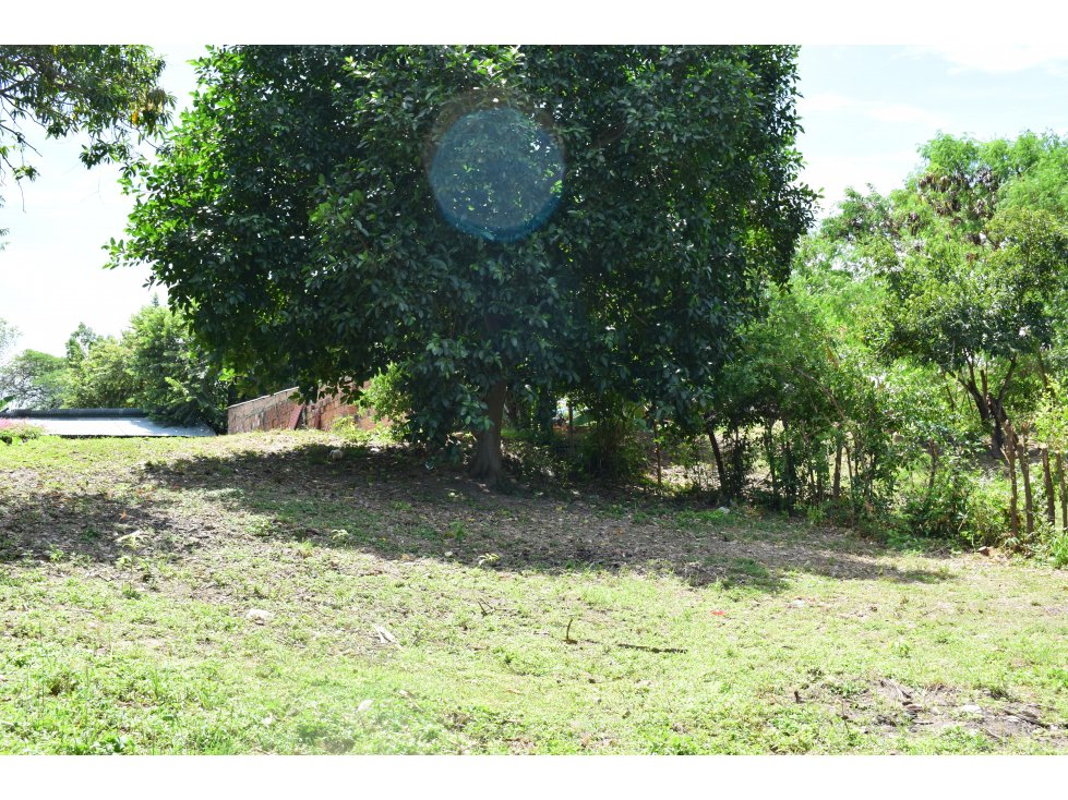 LOTE PARA LA VENTA EN RICAURTE CUNDINAMARCA. - 6