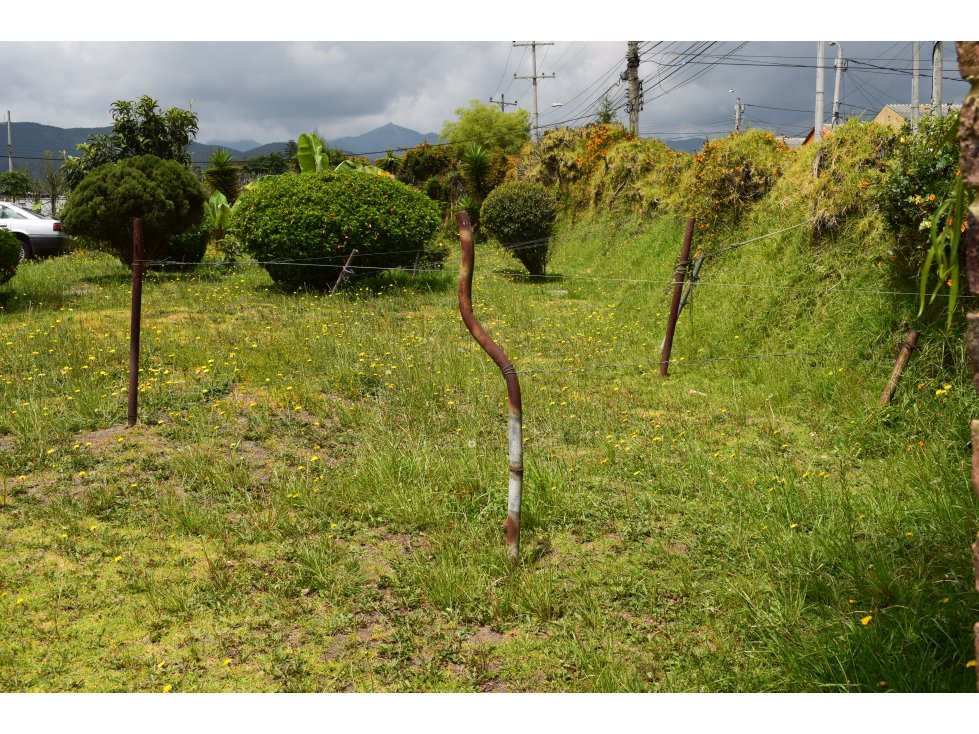 Lote para la venta en Chia, Cundinamarca — foto 5