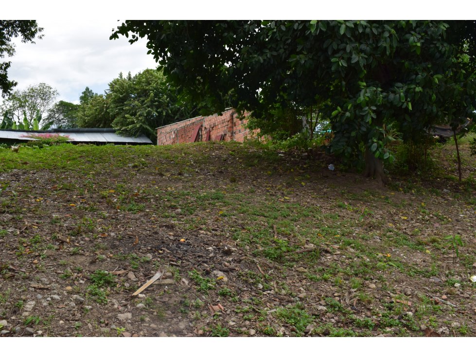 LOTE PARA LA VENTA EN RICAURTE CUNDINAMARCA. - 3