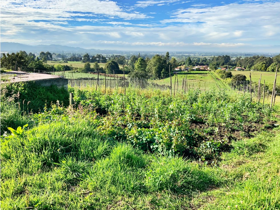 LOTE PARA LA VENTA EN CUATRO ESQUINAS FACATATIVA CUNDINAMARCA. - 5