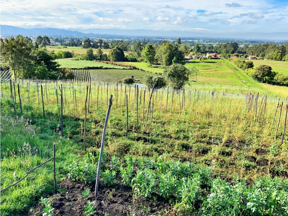 LOTE PARA LA VENTA EN CUATRO ESQUINAS FACATATIVA CUNDINAMARCA. - 6