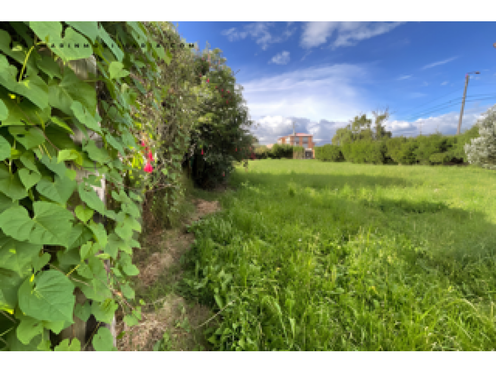 Lote con Casa en Cerca de Piedra - Vereda Fonqueta, Chía. Cundinamarca — foto 6