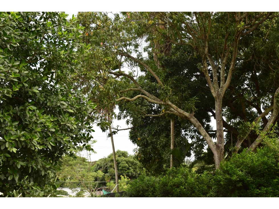 LOTE PARA LA VENTA EN RICAURTE CUNDINAMARCA. - 2
