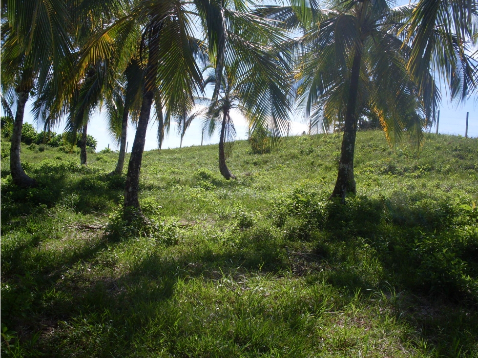 vendo isla de la fantasia Panama - 3