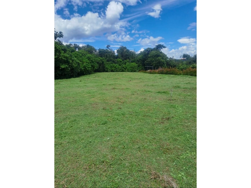 Lote para La venta Sector Circasia