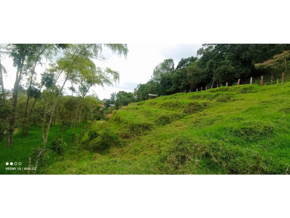 Lote Para La Venta Sector Salento