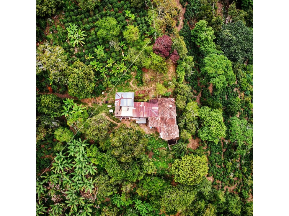 Se vende finca en Génova Quindío - 1
