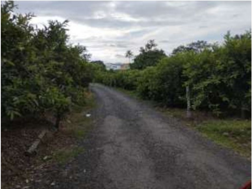 Lote Sector La Tebaida — foto 2