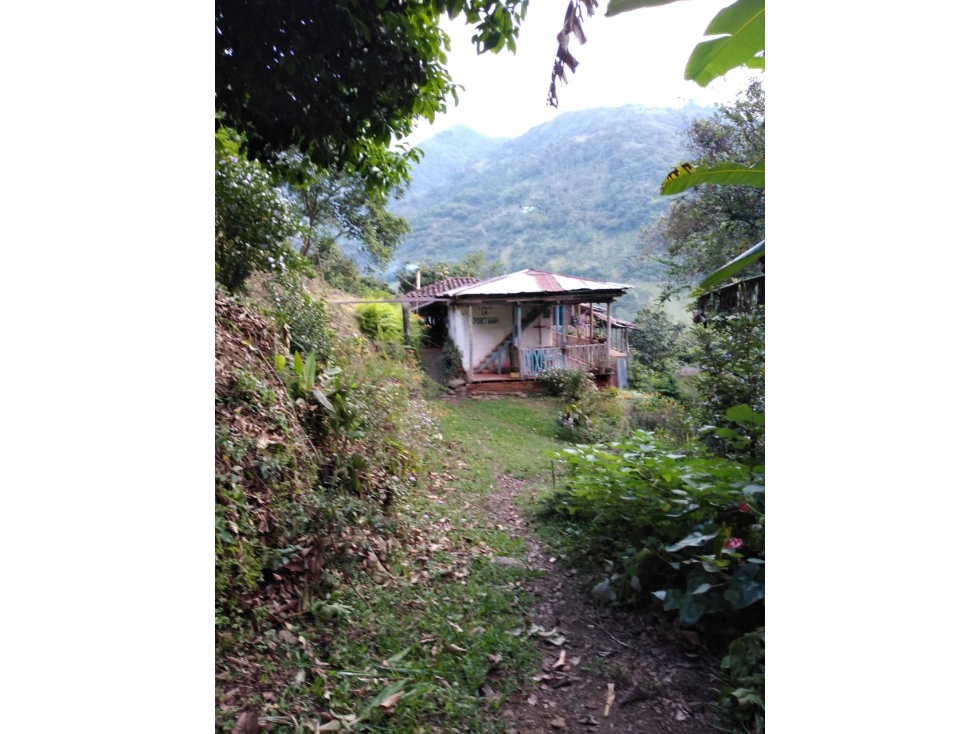 Se vende finca en Génova Quindío - 2