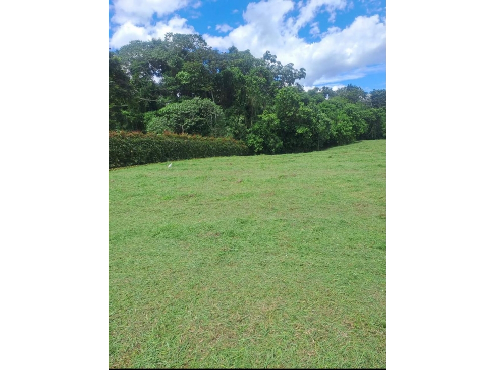 Lote para La venta Sector Circasia — foto 3