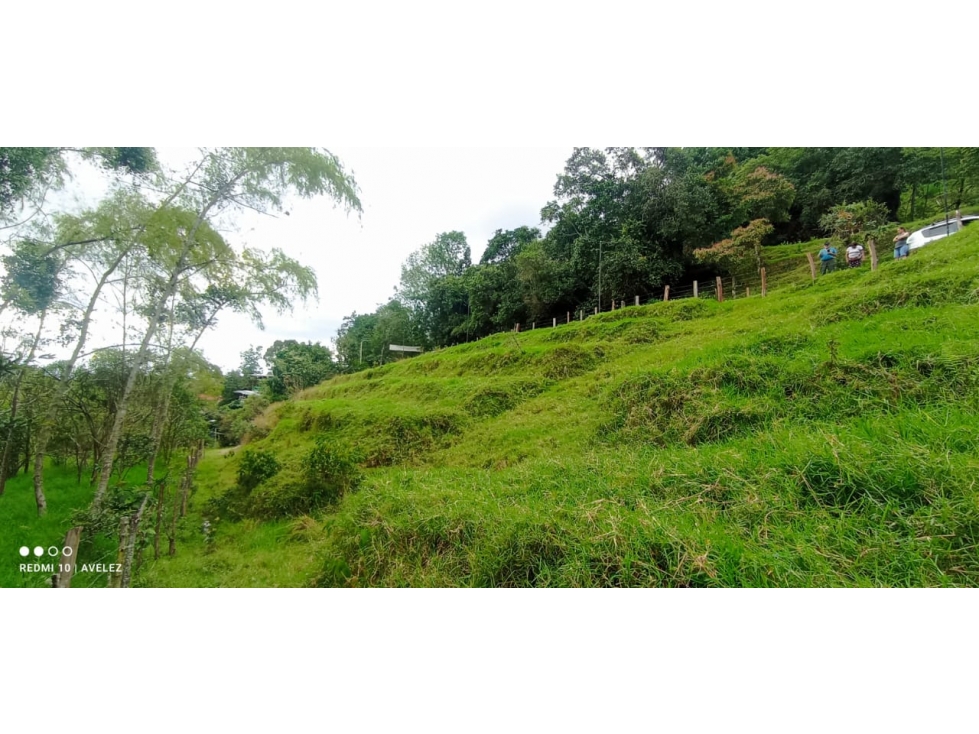 Lote Para La Venta Sector Salento — foto 3