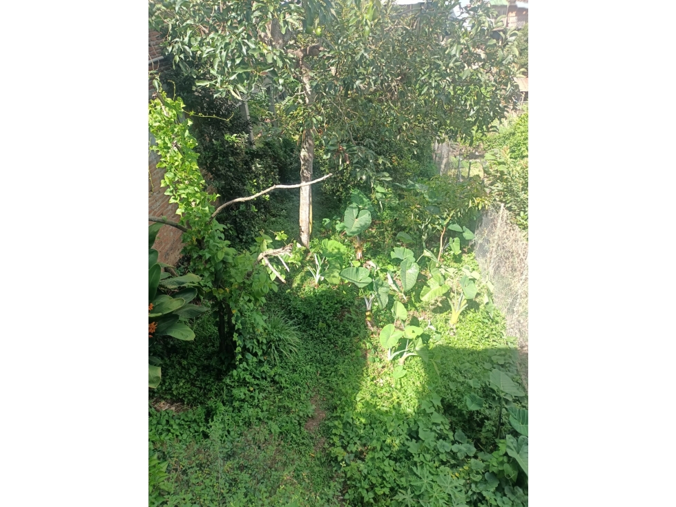 Casa Lote para la venta en el Darièn - Valle del Cauca - 3