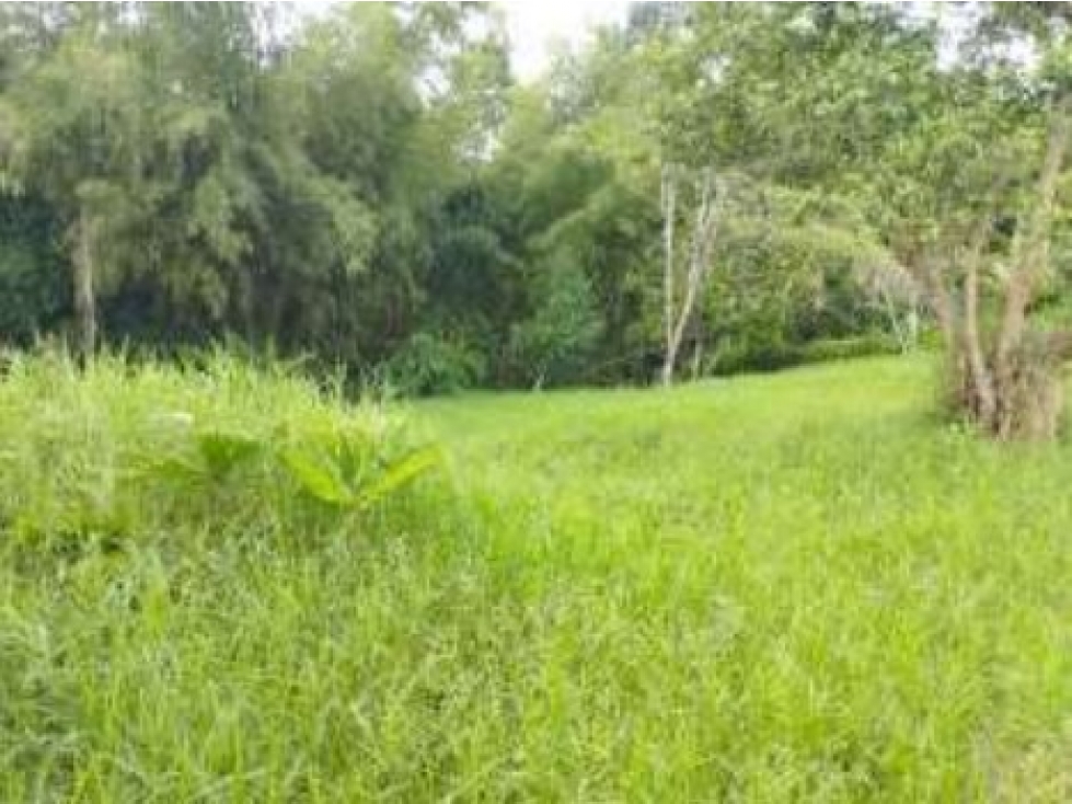 Lote Sector La Tebaida — foto 5