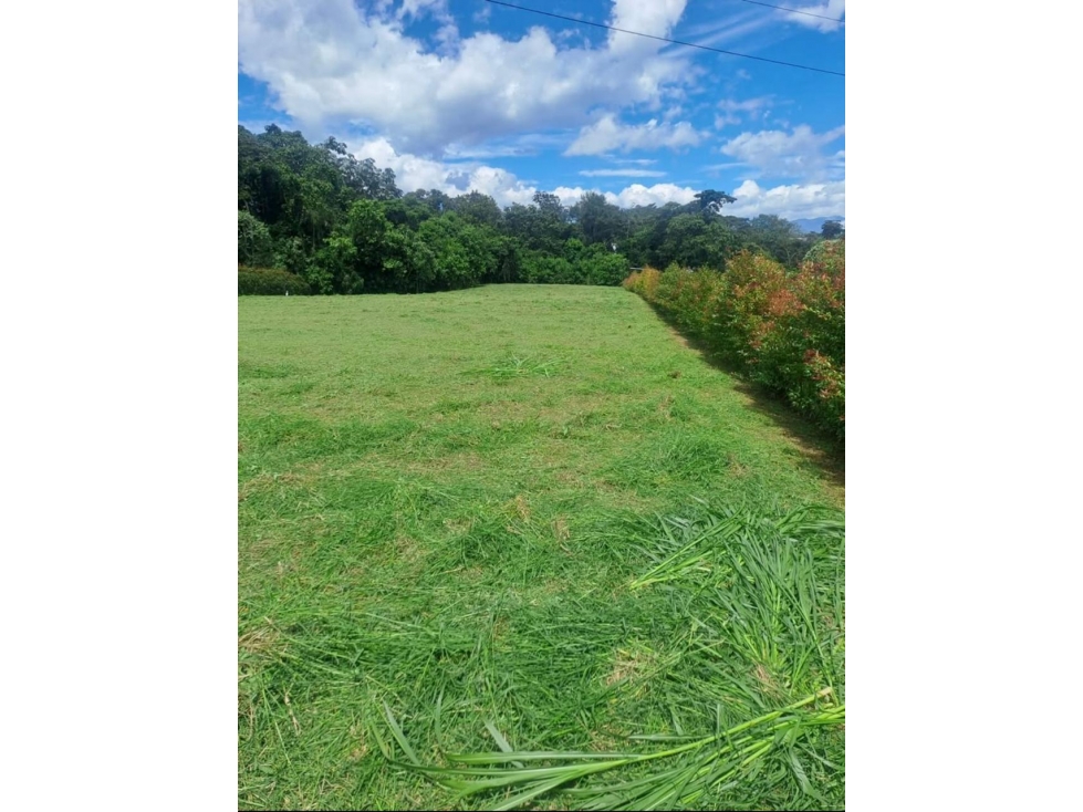Lote para La venta Sector Circasia — foto 4