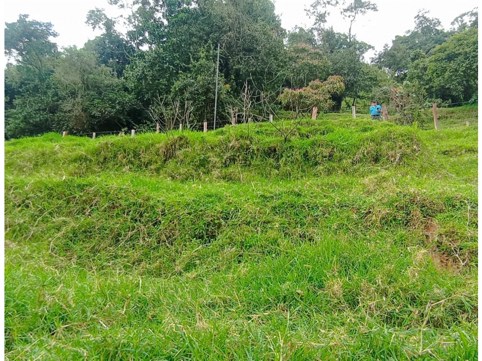 Lote Para La Venta Sector Salento — foto 5