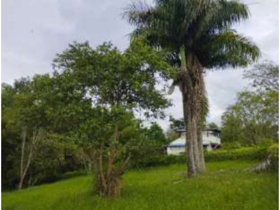 Lote Sector La Tebaida — foto 4