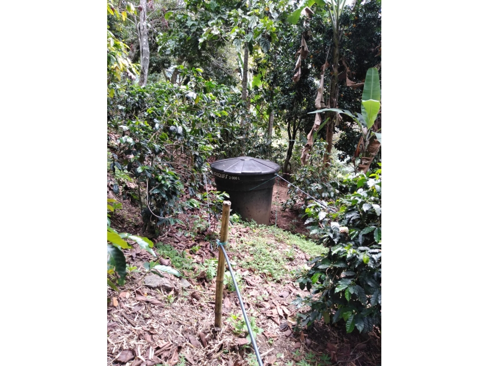 Se vende finca en Génova Quindío - 3