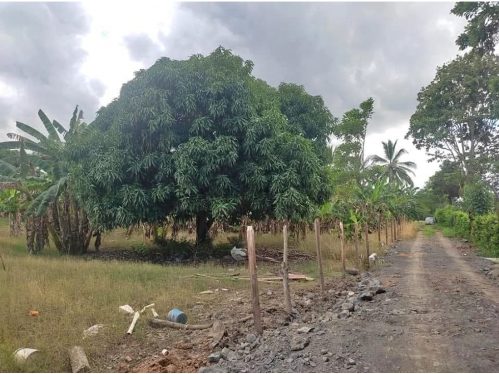 SC INMOBILIARIA VENDE LOTE EN FLORISANTO VIA SABANAL -MTR