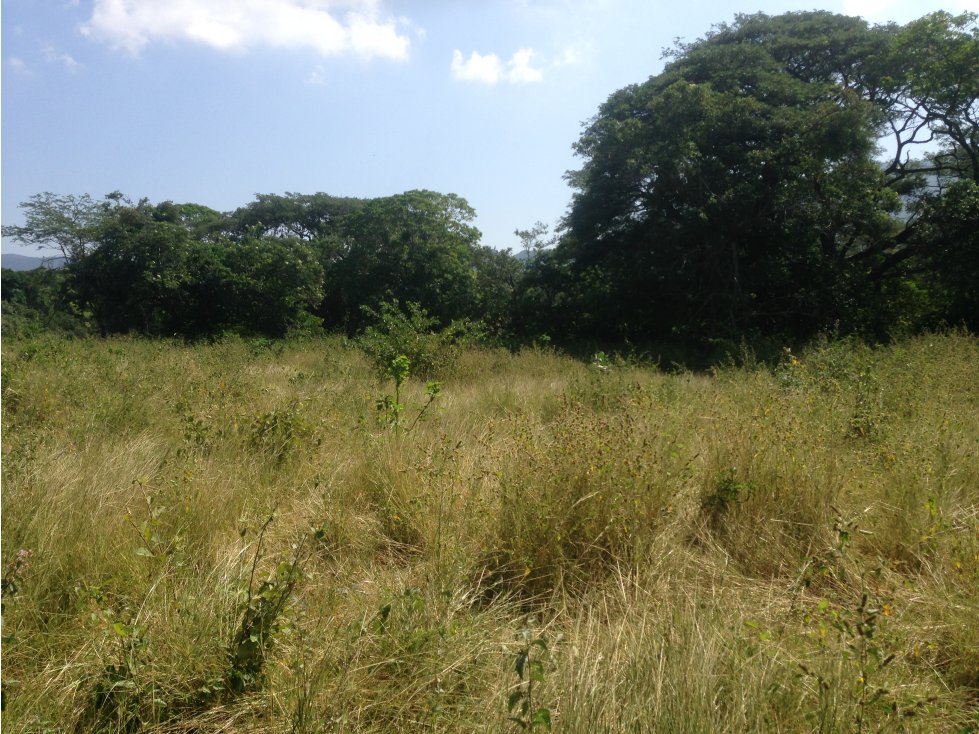 VENDO FINCA REPRESA EN SAN JUAN DEL CESAR.-GUAJIRA (SUR) - 4