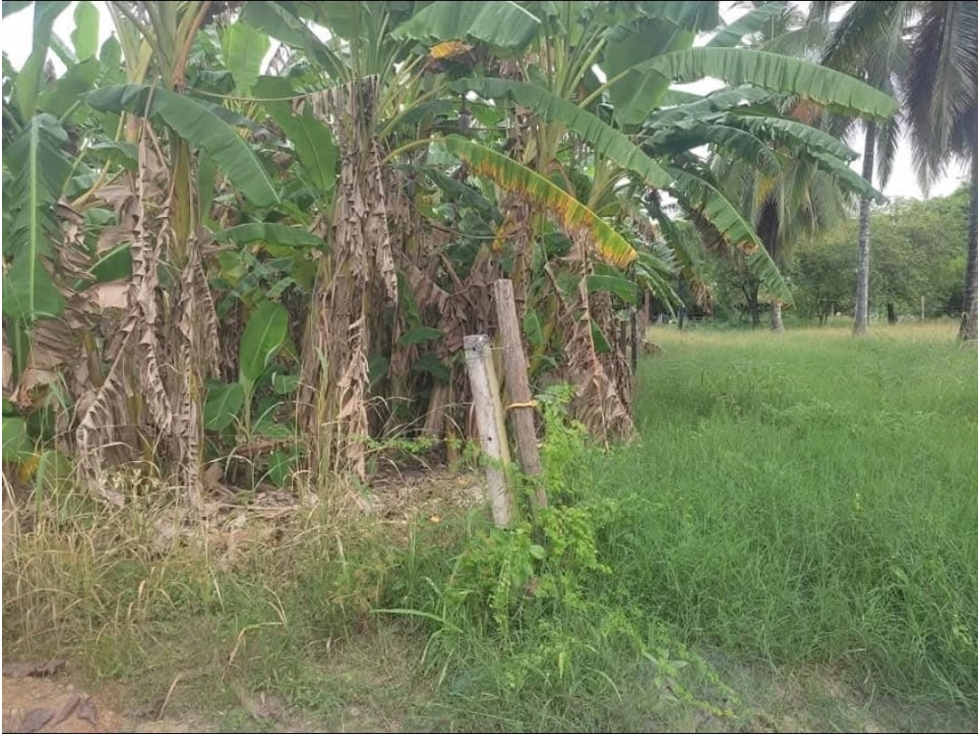 SC INMOBILIARIA VENDE LOTE EN FLORISANTO VIA SABANAL -MTR — foto 3