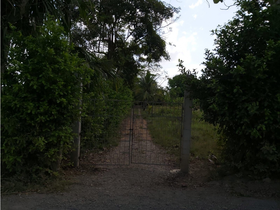 SC INM. VENDE CASA FINCA 2.5HEC .CERCA AGUAS NEGRAS MONTERIA — foto 4