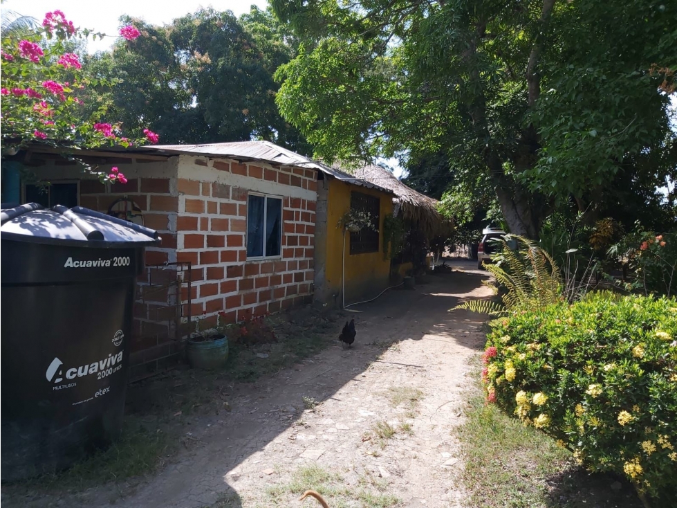 SC INM. VENDE CASA FINCA 2.5HEC .CERCA AGUAS NEGRAS MONTERIA — foto 6