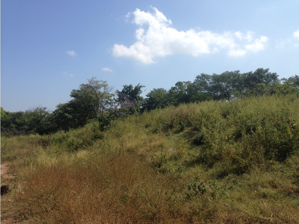 VENDO FINCA REPRESA EN SAN JUAN DEL CESAR.-GUAJIRA (SUR) - 3