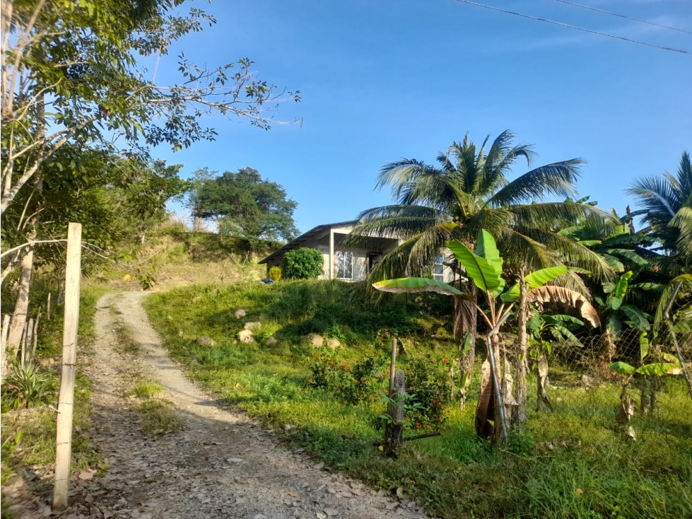 SC RED INMOBILIARIA VENDE CASA FINCA VEREDA EL PRADO - 1