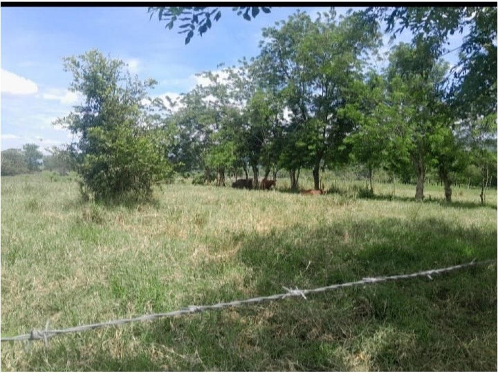 Lote de 2.017 m² en Villa del Río, Viterbo - Zona de Alta Valorización - 2