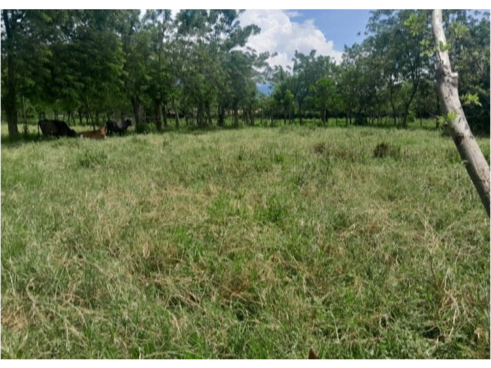 Lote de 2.017 m² en Villa del Río, Viterbo - Zona de Alta Valorización - 5