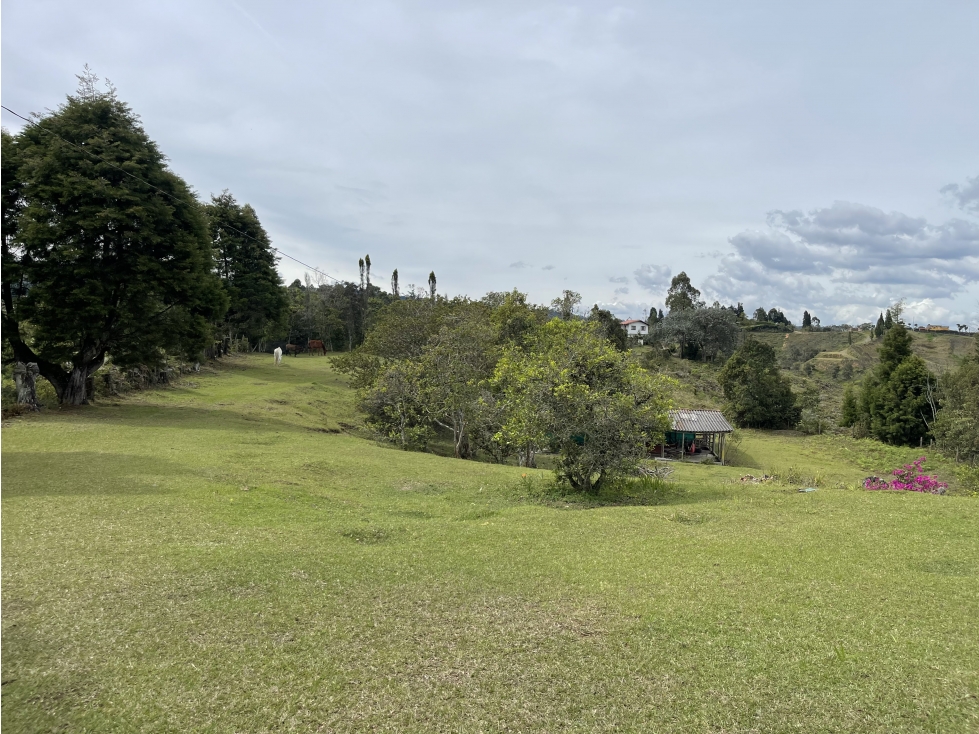 VENTA O ARRIENDO DE FINCA EN VEREDA LA MOSQUITA GUARNE ANTIOQUIA