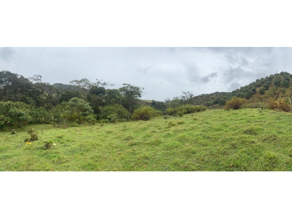 Venta LOTE en Vereda La Amapola. El Retiro. Antioquia.(C)