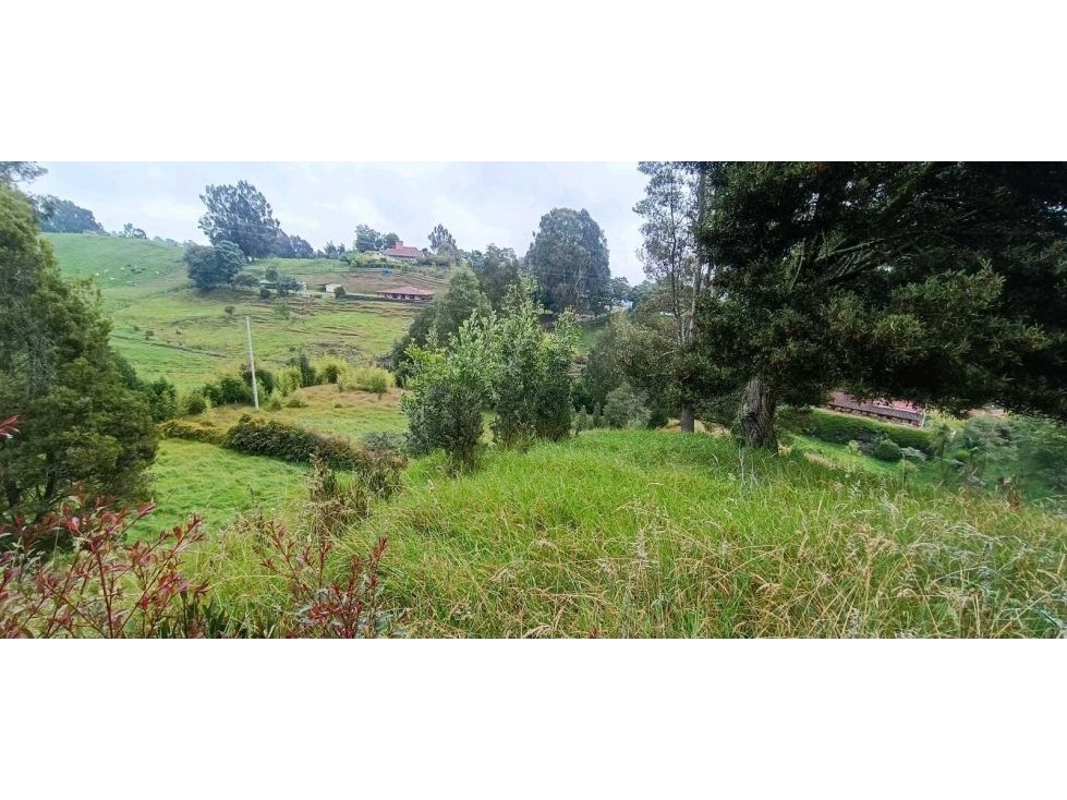 Venta Lote Suburbano. en San Félix vía San Pedro. Antioquia.