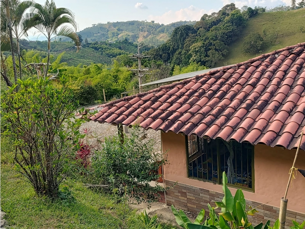 VENTA DE FINCA DE RECREO EN VEREDA LA CHINA MANIZALES CALDAS — foto 2
