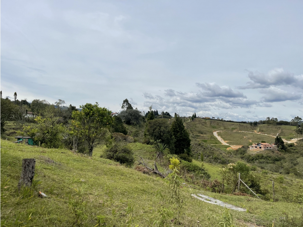 VENTA O ARRIENDO DE FINCA EN VEREDA LA MOSQUITA GUARNE ANTIOQUIA — foto 2