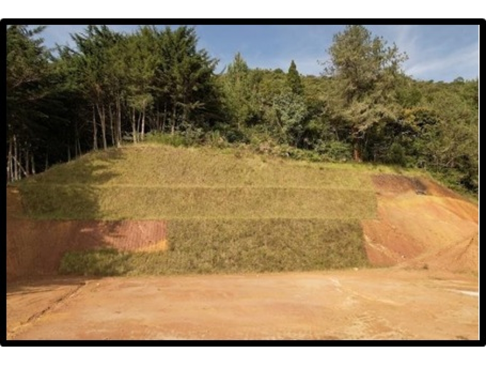 VENTA DE LOTE EN LA PARCELACION EL YARUMO LA CEJA ANTIOQUIA — foto 2