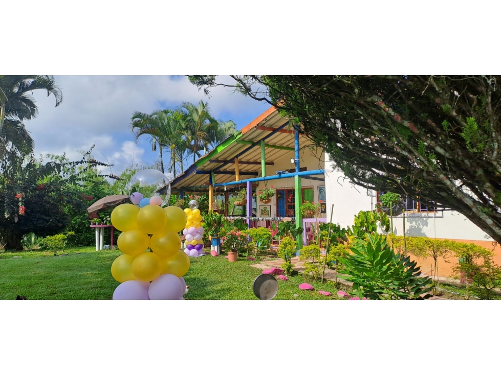 FINCA PRODUCTIVA EN VENTA EN PEREIRA CULTIVO AGUACATE, LIMON.Y PLATANO — foto 3