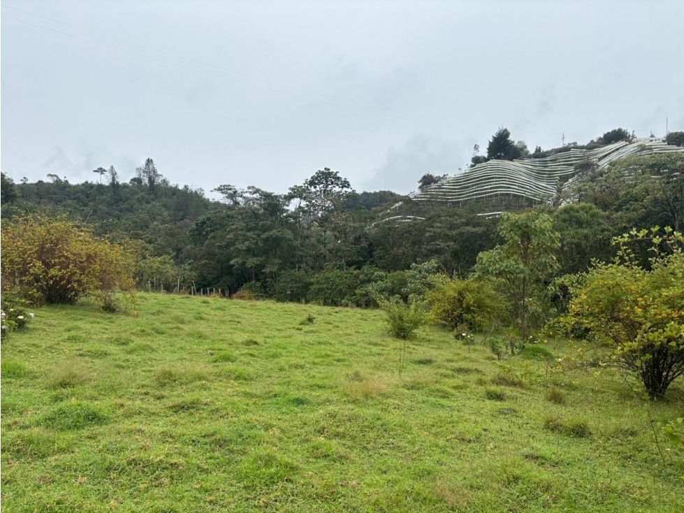Venta LOTE en Vereda La Amapola. El Retiro. Antioquia.(C) — foto 3