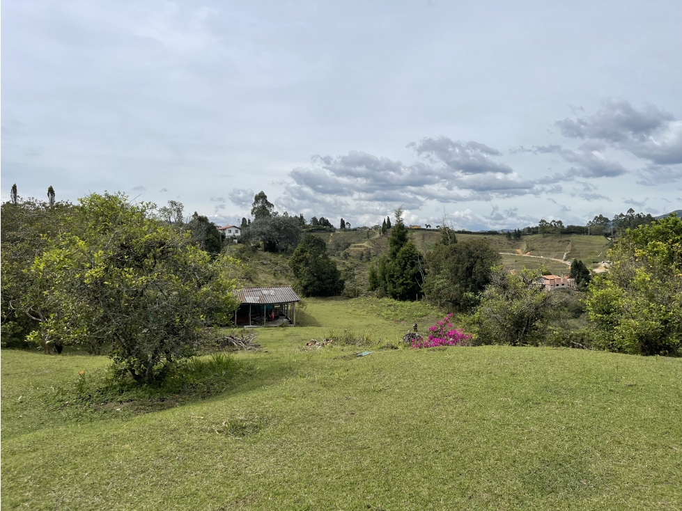 VENTA O ARRIENDO DE FINCA EN VEREDA LA MOSQUITA GUARNE ANTIOQUIA — foto 4